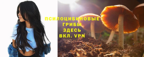 ГАЛЛЮЦИНОГЕННЫЕ ГРИБЫ Новодвинск