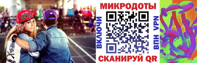 Псилоцибиновые грибы Psilocybine cubensis  Пучеж 